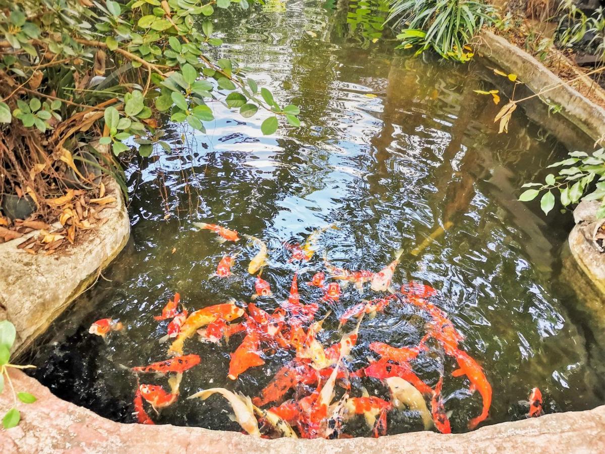 Oyo 604 Ruen Mai Horm Resort Trang Buitenkant foto